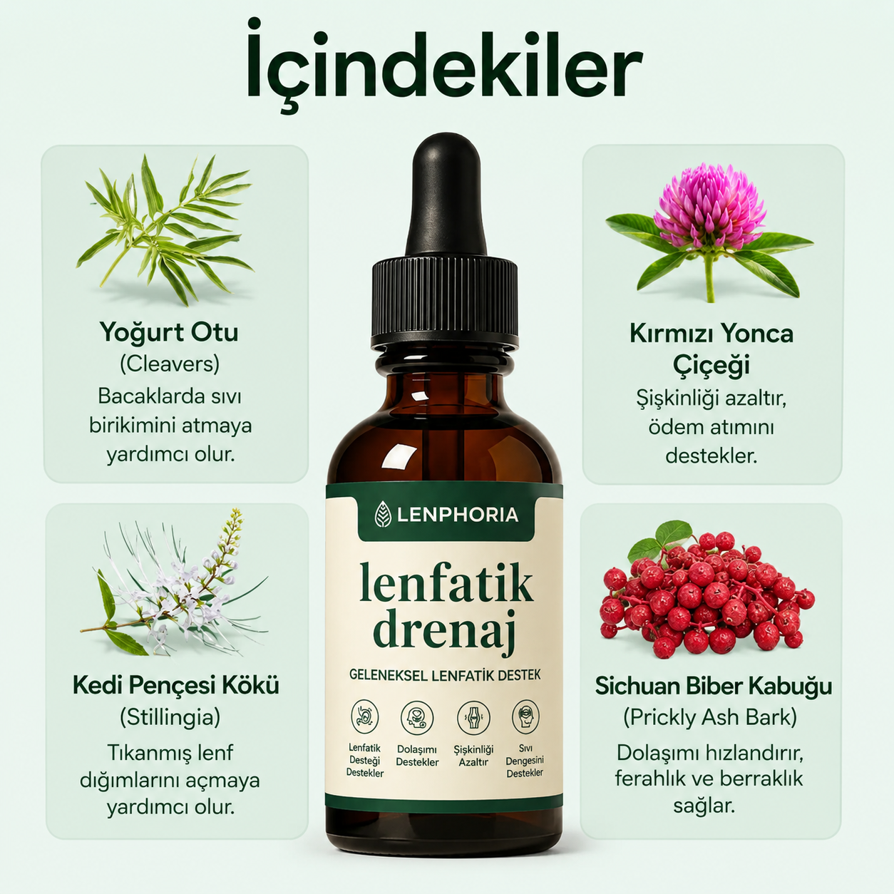 Sadece 16 Günde Daha Hafif, Daha İnce, Selülit Görünümünü Azaltılmış ve Şişkinlikten Arınmış Hissedin!